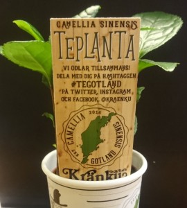Teplanta